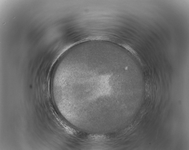 X0000077990886200611171752