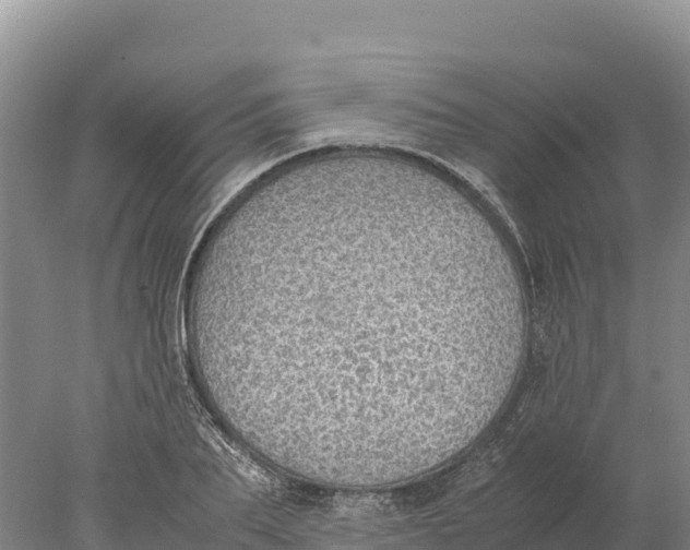 X0000077990887200611171752