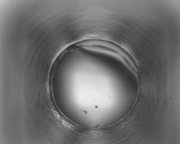 X0000077990888200611171751