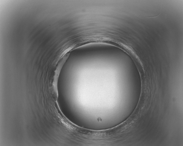 X0000077990889200611171751