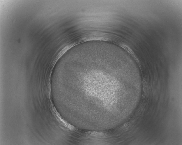 X0000077990890200611171751