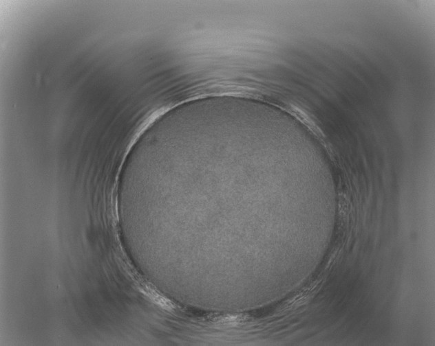 X0000077990891200611171751