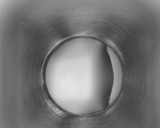 X0000077990892200611171751