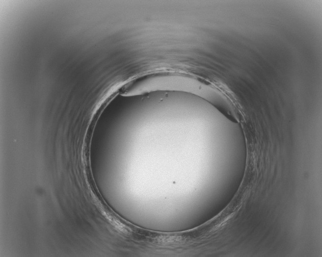 X0000077990893200611171751