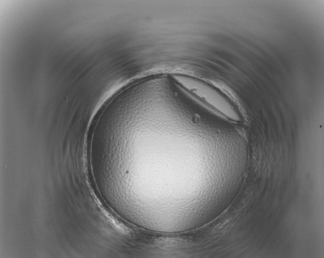 X0000077990894200611171751