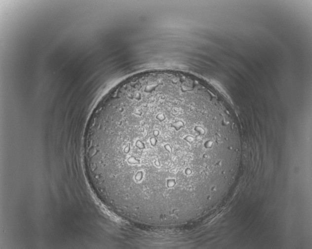 X0000077990895200611171751