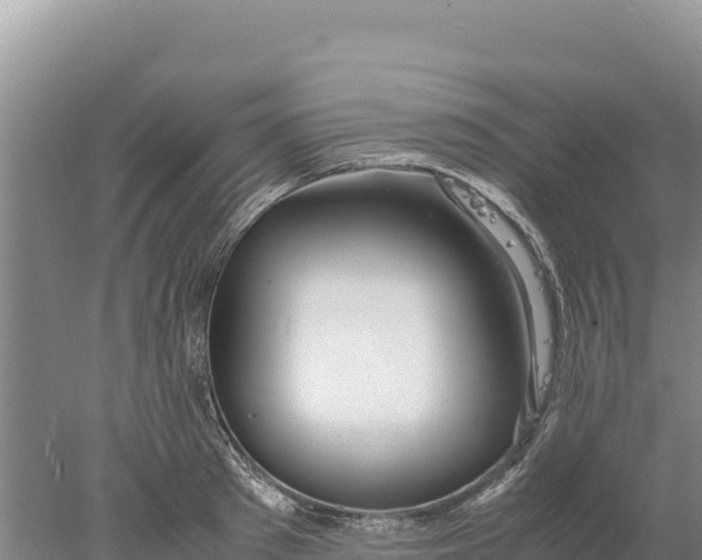 X0000077990897200611171751