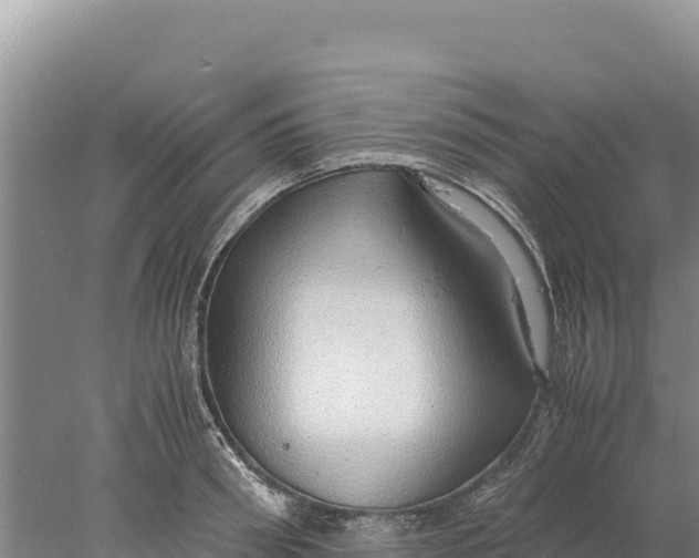 X0000077990898200611171751