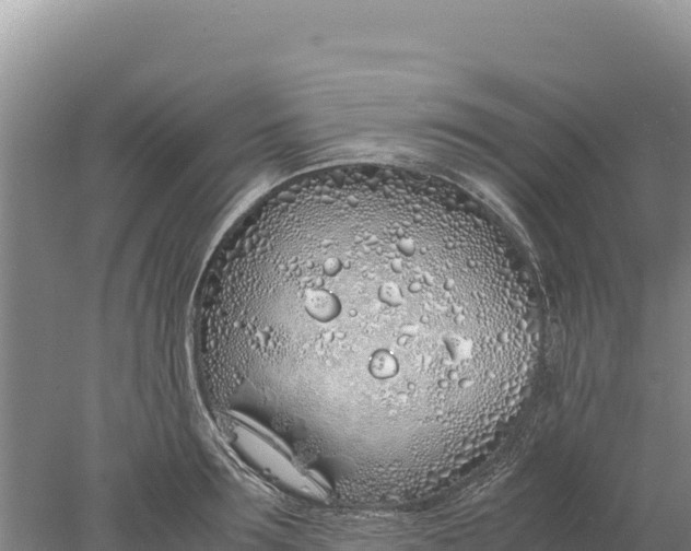 X0000077990899200611171751