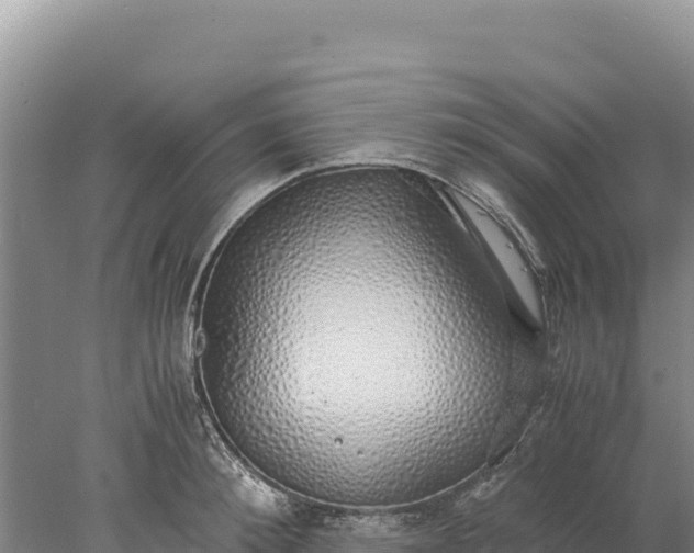 X0000077990900200611171751