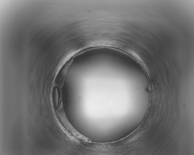 X0000077990901200611171751