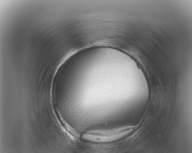 X0000077990902200611171751