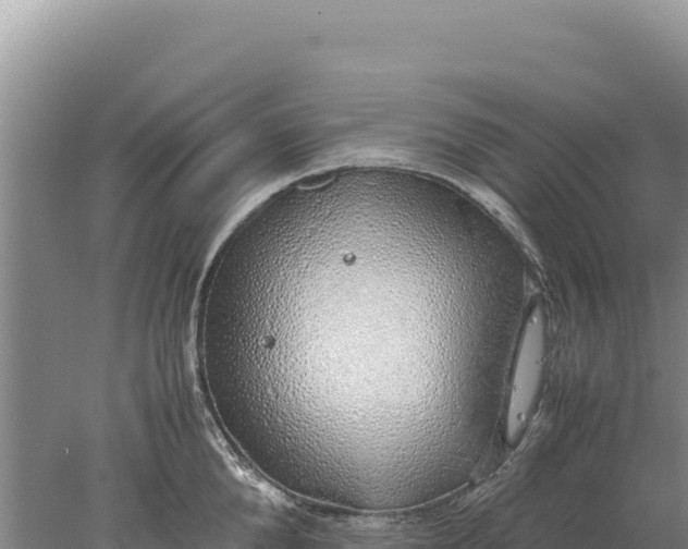 X0000077990904200611171751