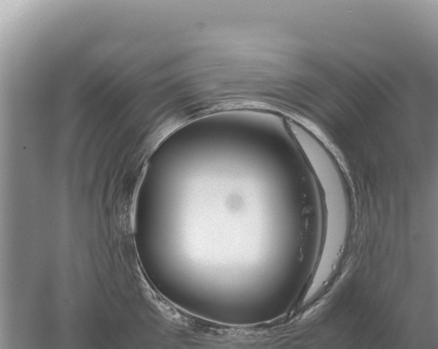 X0000077990905200611171751