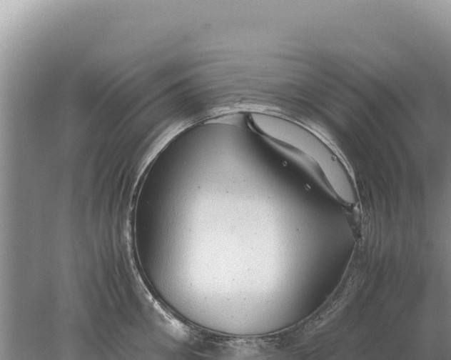 X0000077990906200611171751