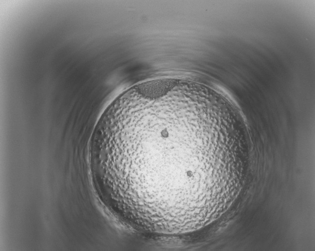 X0000077990907200611171751