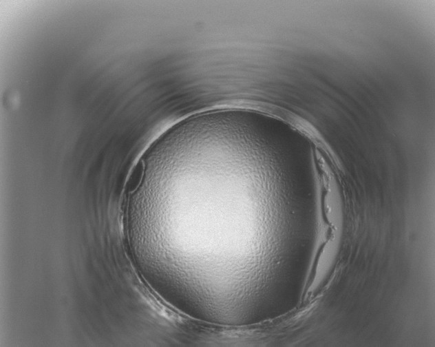 X0000077990908200611171751