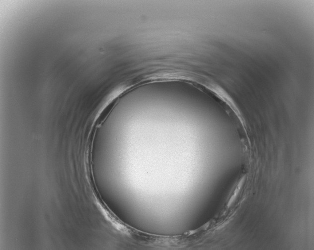 X0000077990909200611171751