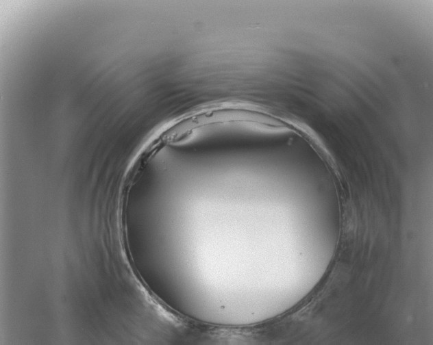 X0000077990910200611171751