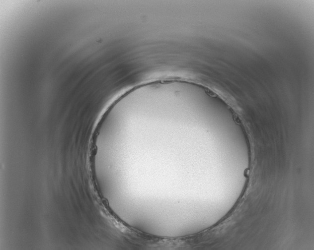 X0000077990912200611171751