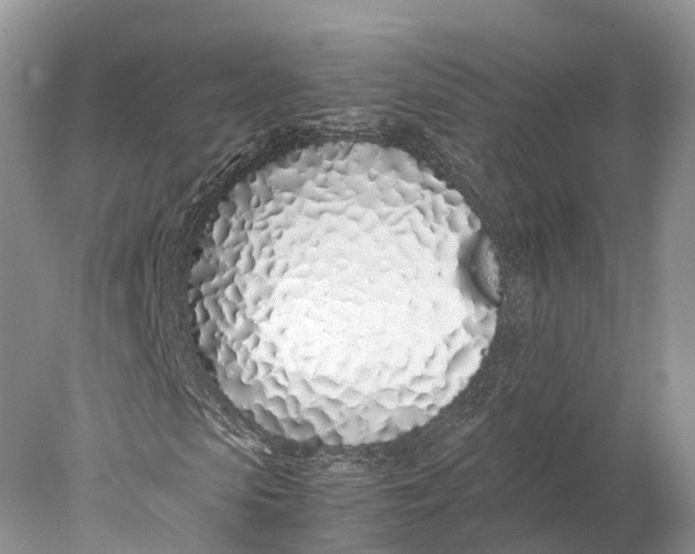 X0000077990913200611171750