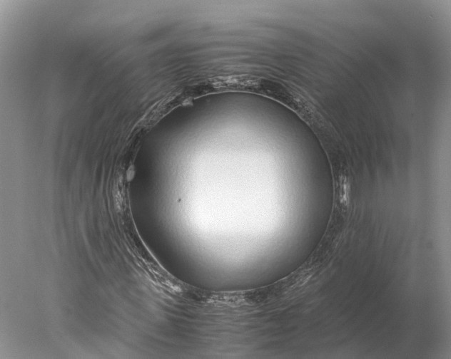 X0000077990915200611171750