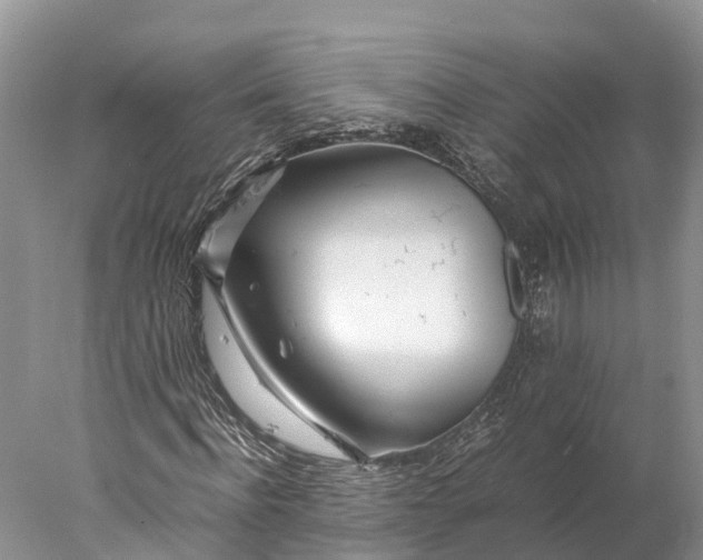 X0000077990916200611171750