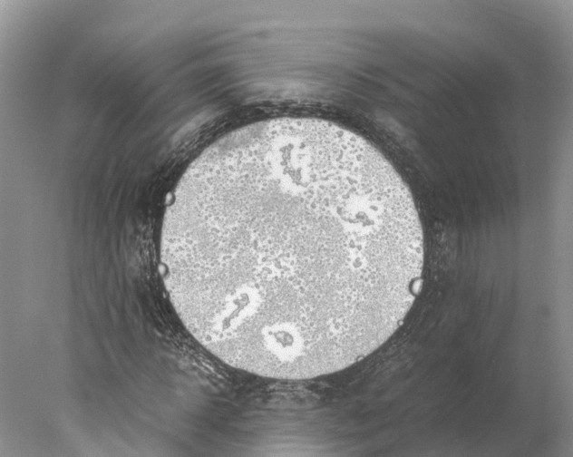 X0000077990918200611171750