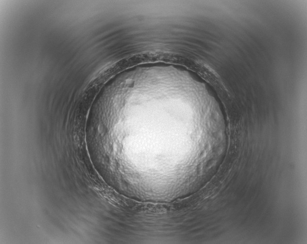 X0000077990919200611171750