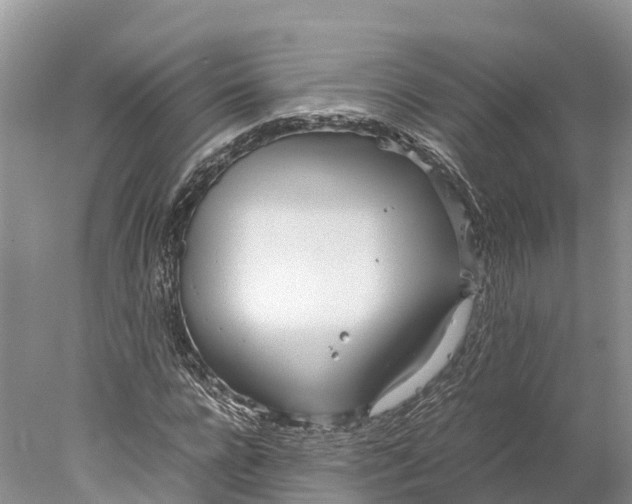 X0000077990920200611171750