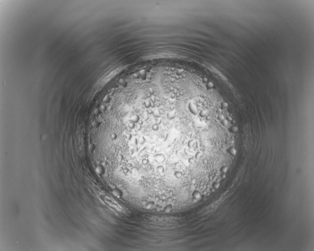 X0000077990921200611171750