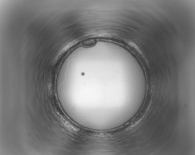 X0000077990922200611171750