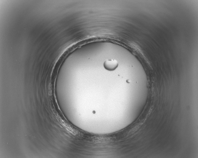 X0000077990924200611171750