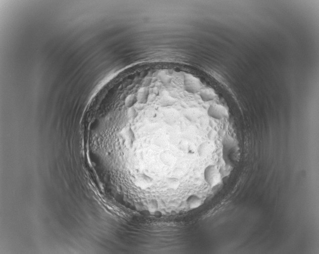 X0000077990925200611171750