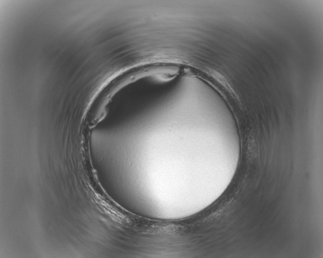 X0000077990926200611171750