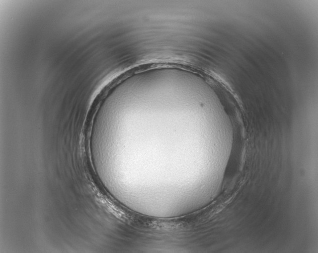 X0000077990928200611171751