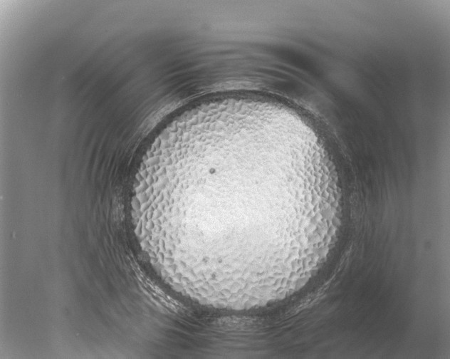 X0000077990929200611171751