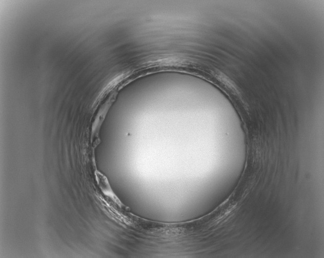 X0000077990930200611171751