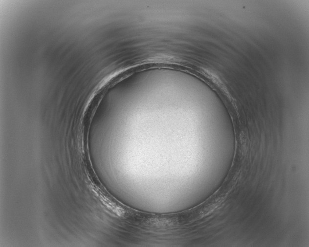 X0000077990931200611171751