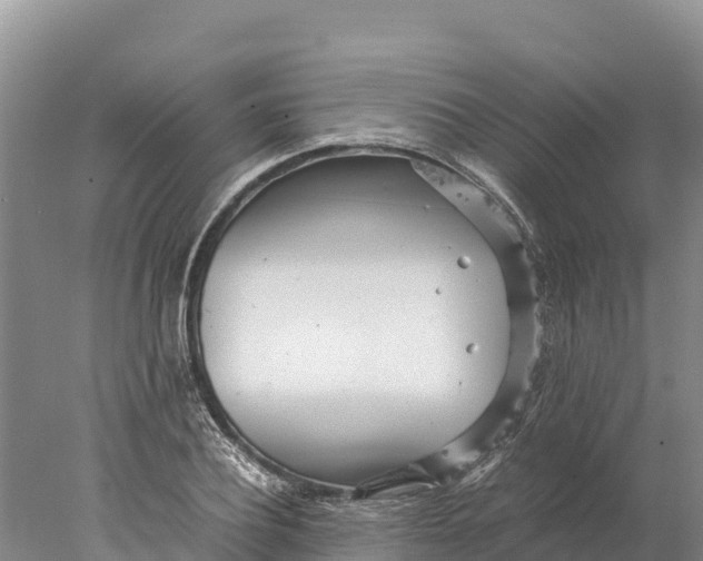 X0000077990932200611171751