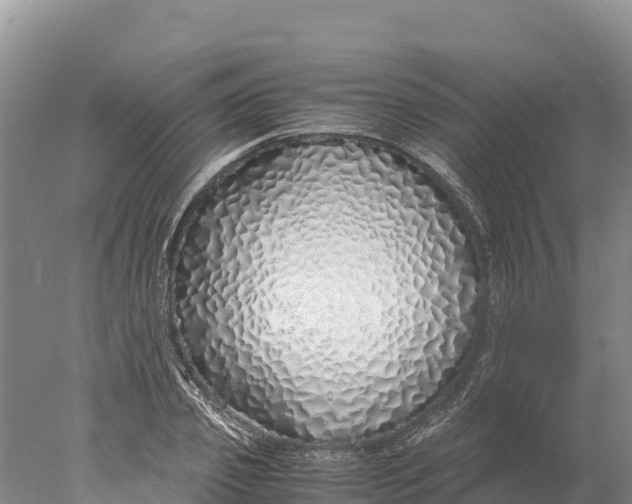 X0000077990933200611171751