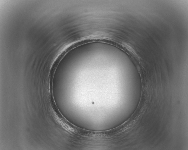 X0000077990934200611171751