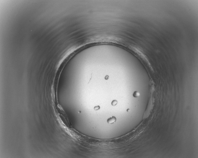 X0000077990936200611171751