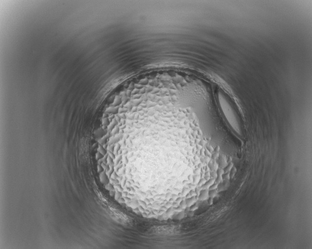 X0000077990937200611171751