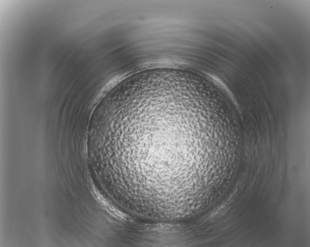 X0000077990938200611171751