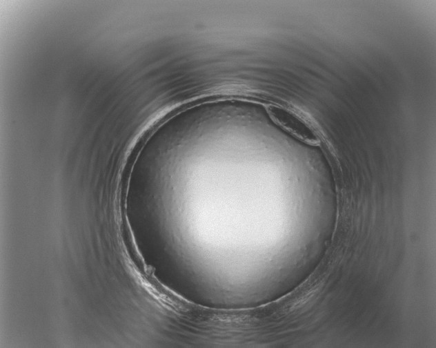 X0000077990939200611171751