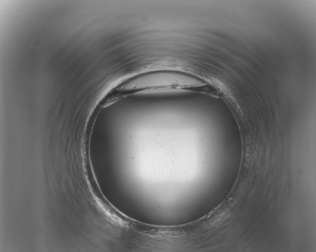 X0000077990942200611171751