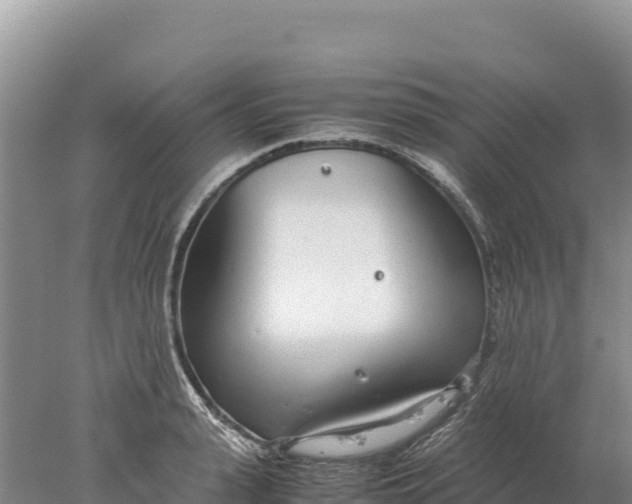 X0000077990943200611171751