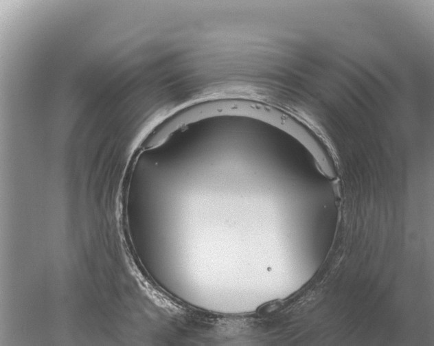 X0000077990944200611171751