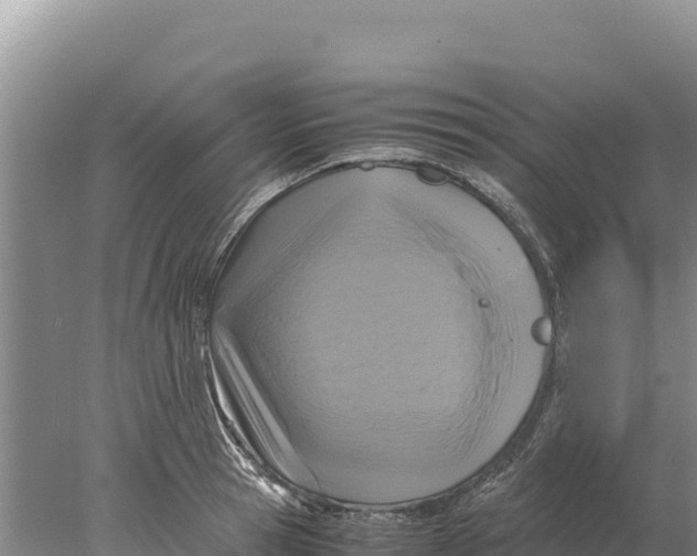 X0000077990945200611171751